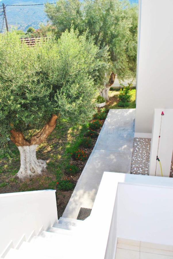 Q Luxury Rooms Paleros Extérieur photo